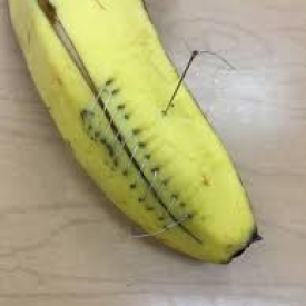 How to Suture Using a Banana